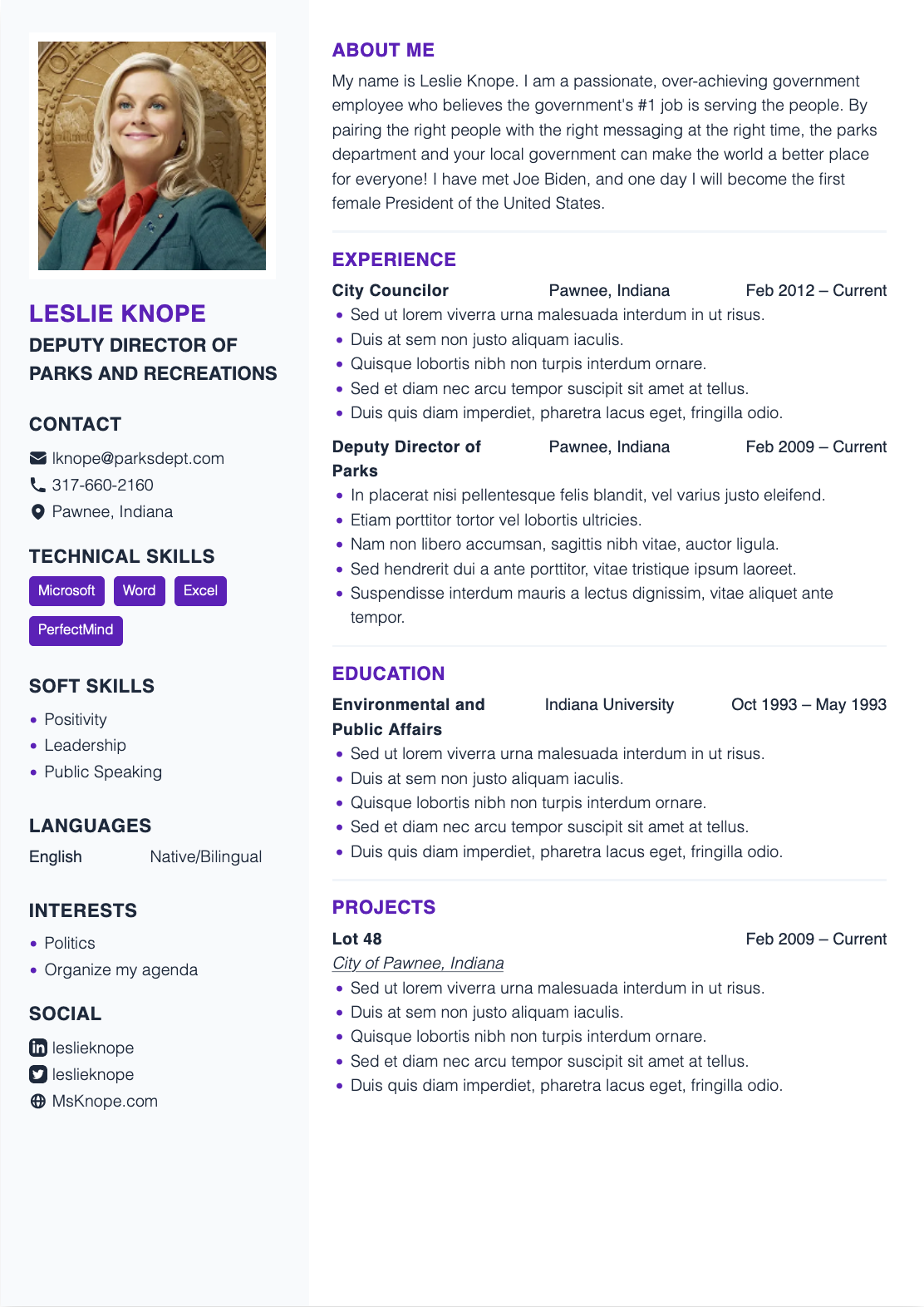 CV example
